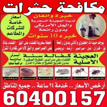 رش حشرات - مكافحة حشرات - المتحدة 60400157 - شركة مكافحة حشرات - شركة رش - مكافحة قوارض - شركة حشرات - مكافحة حشرات وقوارض - مكافحة بق - رش صراصير
