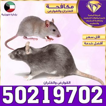 مكافحة حشرات -ابوحسين 📞 50219702 - شركة مكافحة حشرات - مكافحة حشرات وقوارض - مكافحة بق - رش صراصير - مكافحة نمل - شركة حشرات - مكافحة فئران
