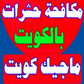 مكافحة حشرات - شركة مكافحة حشرات - شركة تنظيف📞66991461 - حشرات الكويت - مكافحة قوارض - مكافحة بق - رش صراصير